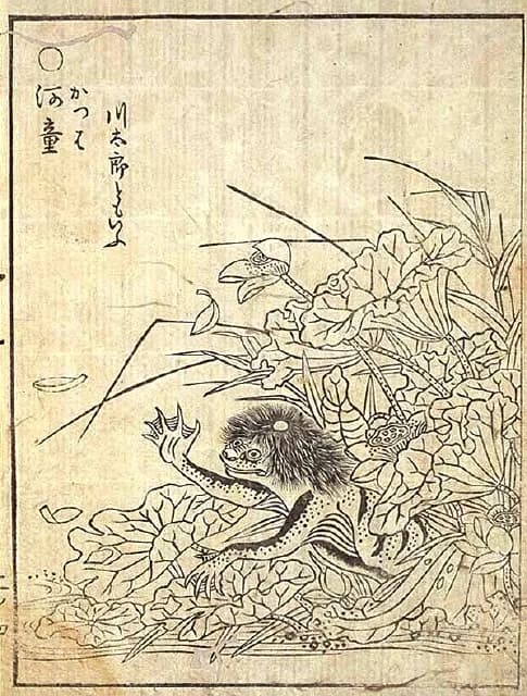 Ukiyo-e prent van een kappa door Toriyama Sekien, uit de Gazu Hyakki Yagyo